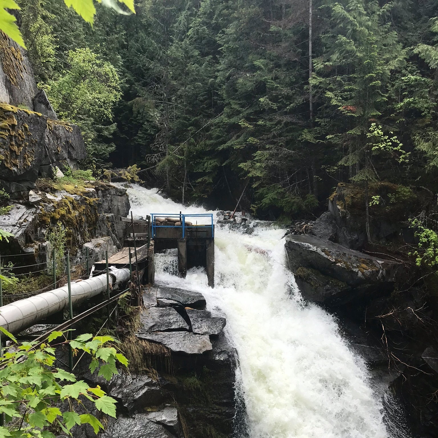 glade-watershed-protection-society-and-glade-irrigation-district